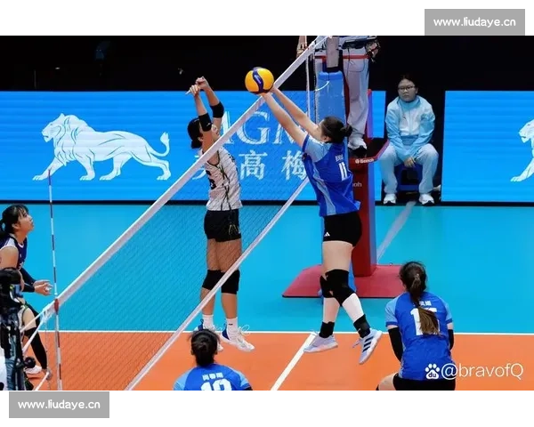 排球比赛中每队上场人数是多少 如何合理安排阵容提升竞技水平