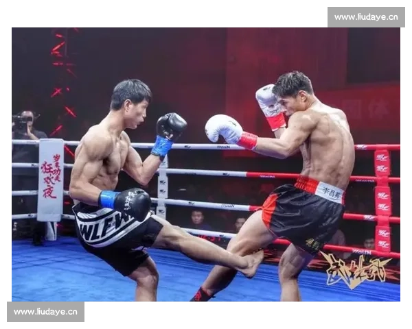 武林风全新赛事盛典精彩开幕 精英对决挑战极限精彩不断