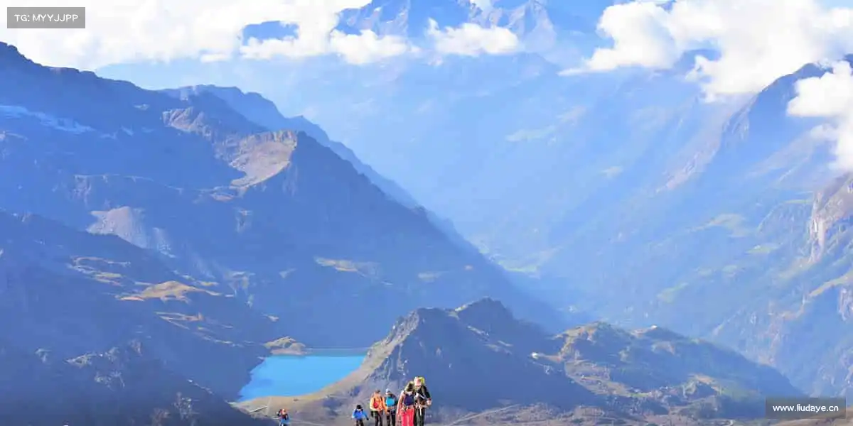 行业领先的理由